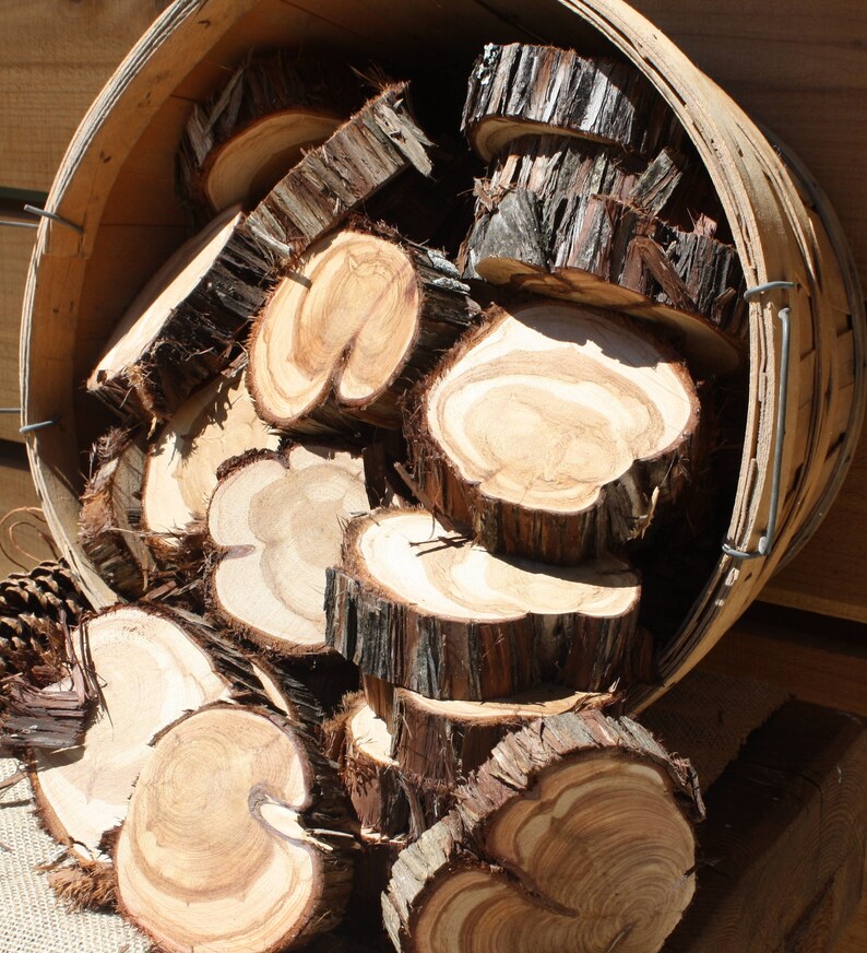 Raw Wood Slices Set Of 10 Diy Circles Small For Crafts Unfinished Craft Cedar Supplies With Bark