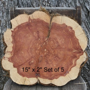 Aromatic Eastern Cedar Rounds Wood Slices for Centerpieces and so Much More  