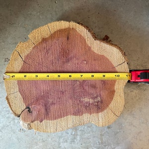 9 to 12 x 2 thick Rustic Cedar Wood Slice, Texas wedding decor, centerpiece, cake base stand, woodland, outdoor, backyard, barn, themes image 8