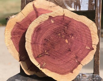 Wedding Wood Centerpieces, wood slice for centerpiece, wood slab, wood round, 9"-11" x 2" thick, chargers, rounds, rustic, woodland, barn