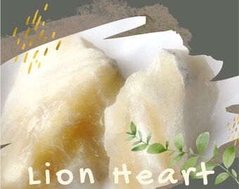 Lion Heart ebook