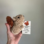 Squirrel Accessories