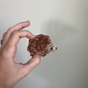 Mini hedgehog plushie, Crochet mini hedgehog , Crochet hedgehog , hedgehog gift, Gift For Kids, crochet animal, Tween Gift, pocket pet