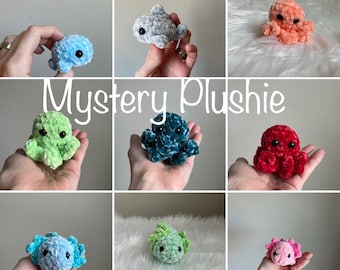 Mini peluche mystère, mini peluche au crochet, peluche mystère, peluche surprise, cadeau pour enfants, animal au crochet, cadeau de préado, animaux de compagnie de bureau, poche