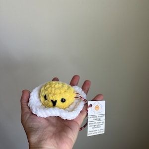 Ovo de apoio emocional, Ovo de crochê, presente positivo, Presente para adultos, animais de estimação de mesa, presente engraçado, presente de apoio emocional, presente exclusivo