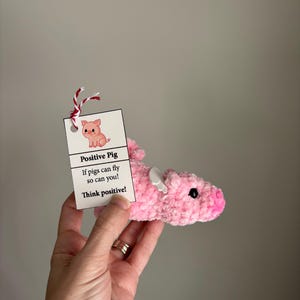 May include: A pink crocheted pig with small white wings and a black eye. The pig is holding a tag that says "Positive Pig" and "If pigs can fly so can you! Think positive!"
