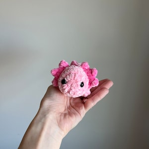 Mini Axolotl plushie, Crochet mini Axolotl, Crochet Axolotl , Axolotl gift, Gift For Kids, crochet animal, Tween Gift, desk pets, pocket pet