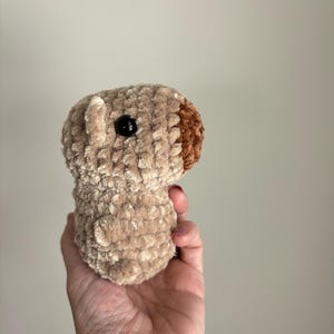 Crochet capybara , capybara Toy, capybara Stuffed Animal, Amigurumi capybara , capybara plushie, tween gift, capybara gift