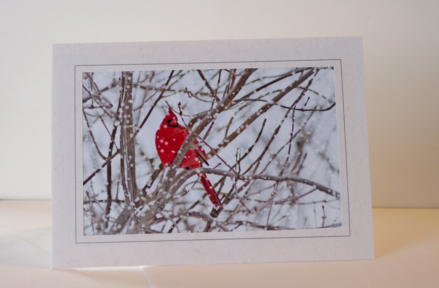 Winter Greeting Cards 5 x 7 Photo Frame Cardinal Greeting Card Set Holiday Card Set 5 Photography Greeting Cards