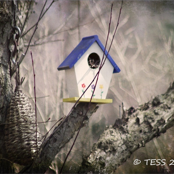 Photography - Birdhouse Photo - Cozy Bird Abode - Birdhouse Photography - Nature - Whimsical - Photography Prints