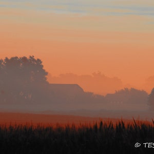 Photography - Summer Morning Sunrise Photo - Country Morning - Iowa  Farm - Foggy Country Sunrise - Photography Prints