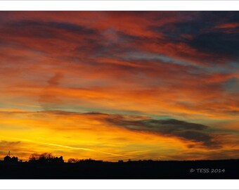 Photography - Sunset In Iowa Photography Print  -   Photography Print  - Botanical - Sunset Photo -  Nature Photography - Photography Prints