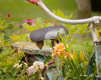 Photography - Vintage Bicycle Photography Print -  Bicycle Garden Photography - Botanical - Spring and Summer - Photography Prints