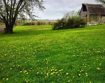 Photography , Country Landscape , Landscape Photography- Barn Photography