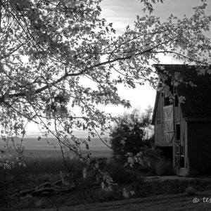 Old Barn Print - Old Barn Photo - Black And White Barn - Farm Print - Barn Photographic Print - Landscape Photography - Mother&#39;s Day