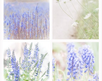 Purple Wildflower Photography Set - Set Of 4 Separate Prints -  Photography Wall Art Set -  Shabby Chic Wall Art - Set Of 4 Fine Art Prints