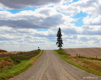 Photography - Country Road Photo - Backroads Photographic Print  -  Landscape Photography - Nature - Gravel Art - Photography Prints