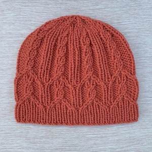 May include: A rust-colored knit beanie featuring a textured cable knit pattern with vertical columns and a ribbed brim. The hat is constructed from yarn with a consistent terracotta hue, showcasing intricate braided stitches throughout the design.