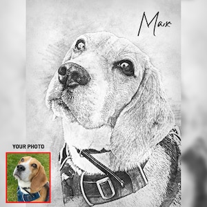 Personalised Pet Sketch, Custom Animal Drawing, Bespoke Portrait, Dog Cat Lover Illustration, Memorial Artwork, Pet Lover Gift