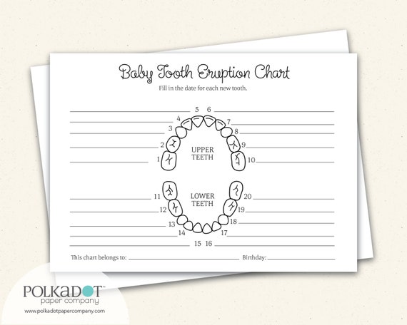 Baby Teeth Chart Diagram