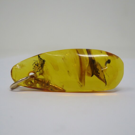 Vintage Genuine Amber Insect Plant Inclusion Pend… - image 3