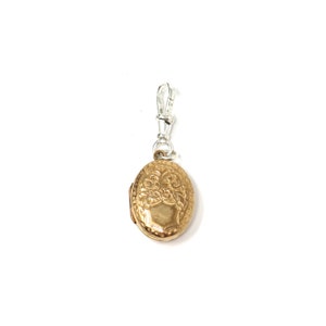 Antique Victorian Rose Rolled Gold Repoussé Forget Me Not Flowers & Shield Oval Locket Pendant on Sterling Silver Swivel Dog Clip