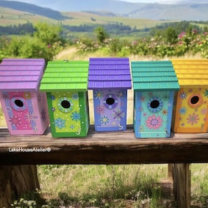 OOAK Birdhouse Hand Painted with Cleaning Drawer. Robin, Wren, Chickadee House. Bluebird House.