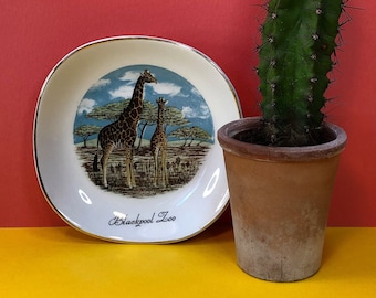 Zoo di Blackpool - Piatto souvenir - Piatto piccolo - Anni '60 - Giraffe - Falcon Ware - Piatto portagioie - Decorativo - Blackpool - Inghilterra - Animali dello zoo