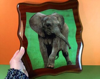 Elefant - Baby Elefant - Wandbehang aus Holz - Vintage Dekor - Wandtafeln - Lackiertes Holz - Vintage Plakette