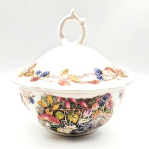 Brambly Hedge Powder Bowl: Royal Doulton Autumn Collection, 1991