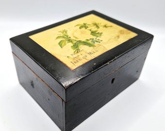 Victorian Money Box: Mauchline Ware Lockbox "A Present From Isle Of Man"