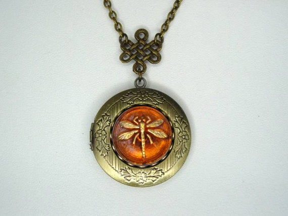 Dragonfly In Amber Etched Locket Celtic Knot Necklace Amber | Etsy