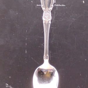 May include: A silver spoon with an ornate handle featuring floral and scroll designs. The spoon's bowl is oval-shaped and reflects the surrounding environment. The handle has a decorative top and a rose detail. The spoon is set against a dark background.