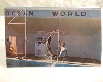 vintage unused postcard circa 1960s new old stock "Ocean World" Ft. Lauderdale, FL