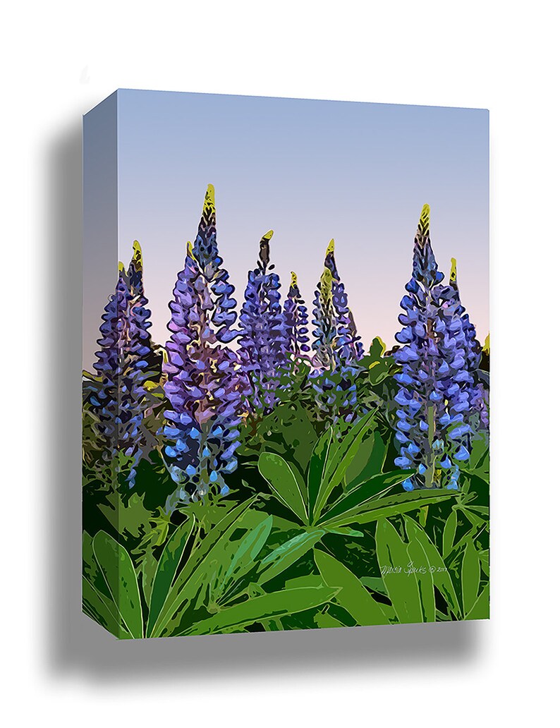 May include: A painting of a field of purple lupin flowers with green leaves against a blue sky. The painting is signed "Dawn Groves 2021".