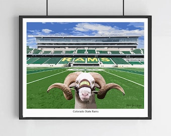 Colorado Stadium University Rams