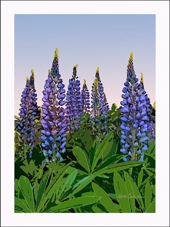 Blue Lupines Print: Archival Matte Photo Paper