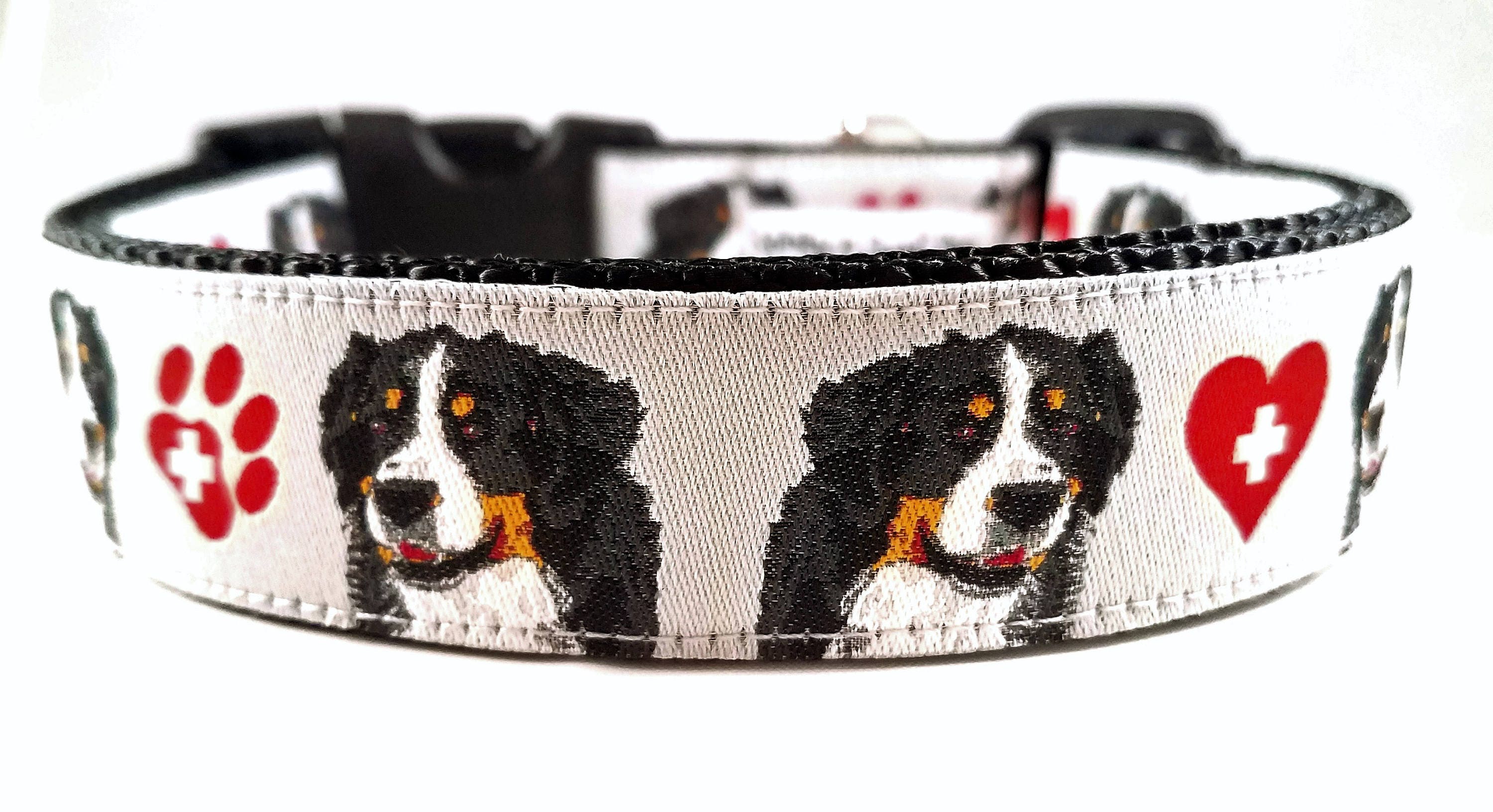 bernese mountain dog collar size
