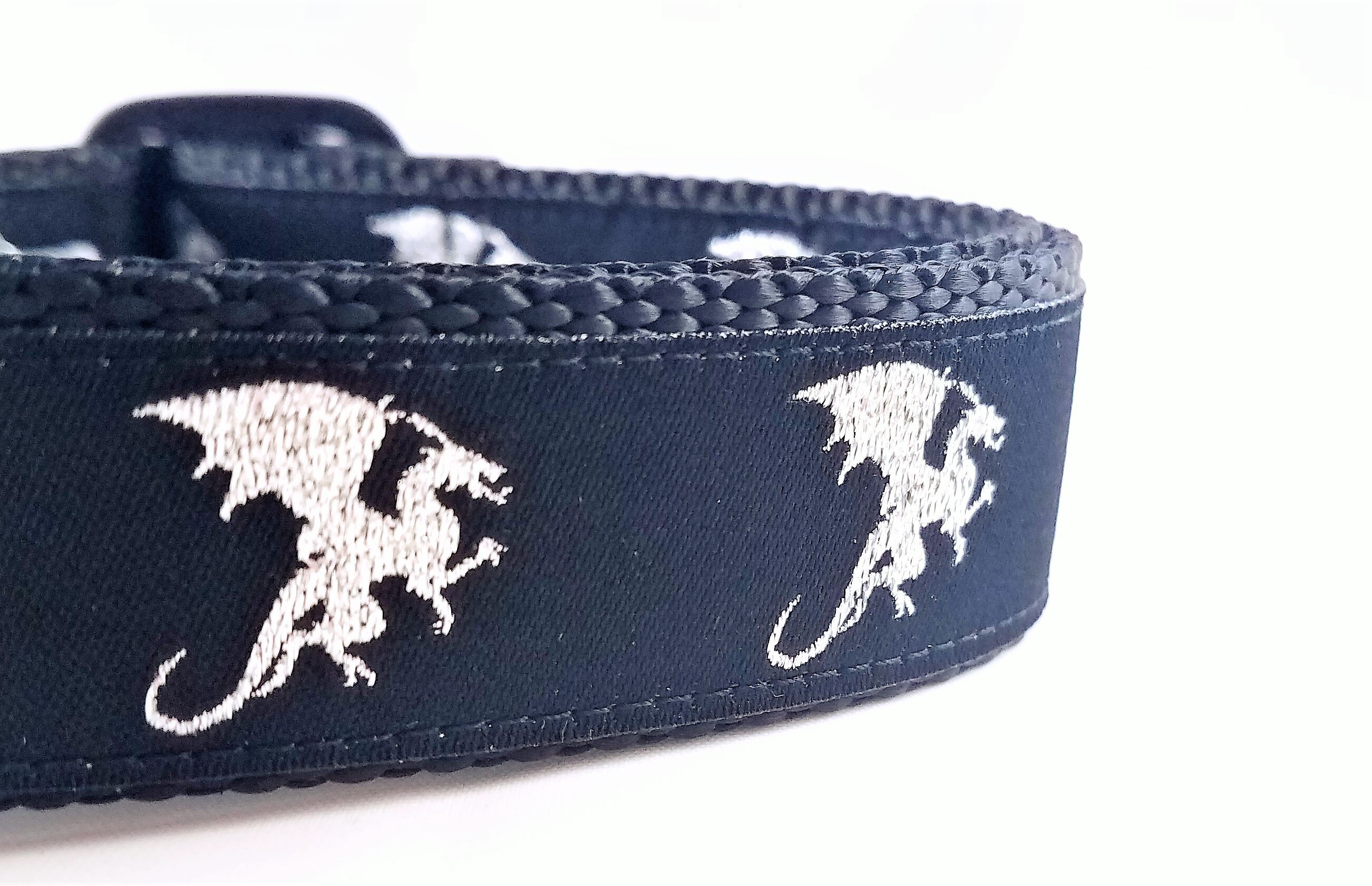 dragon dog collar
