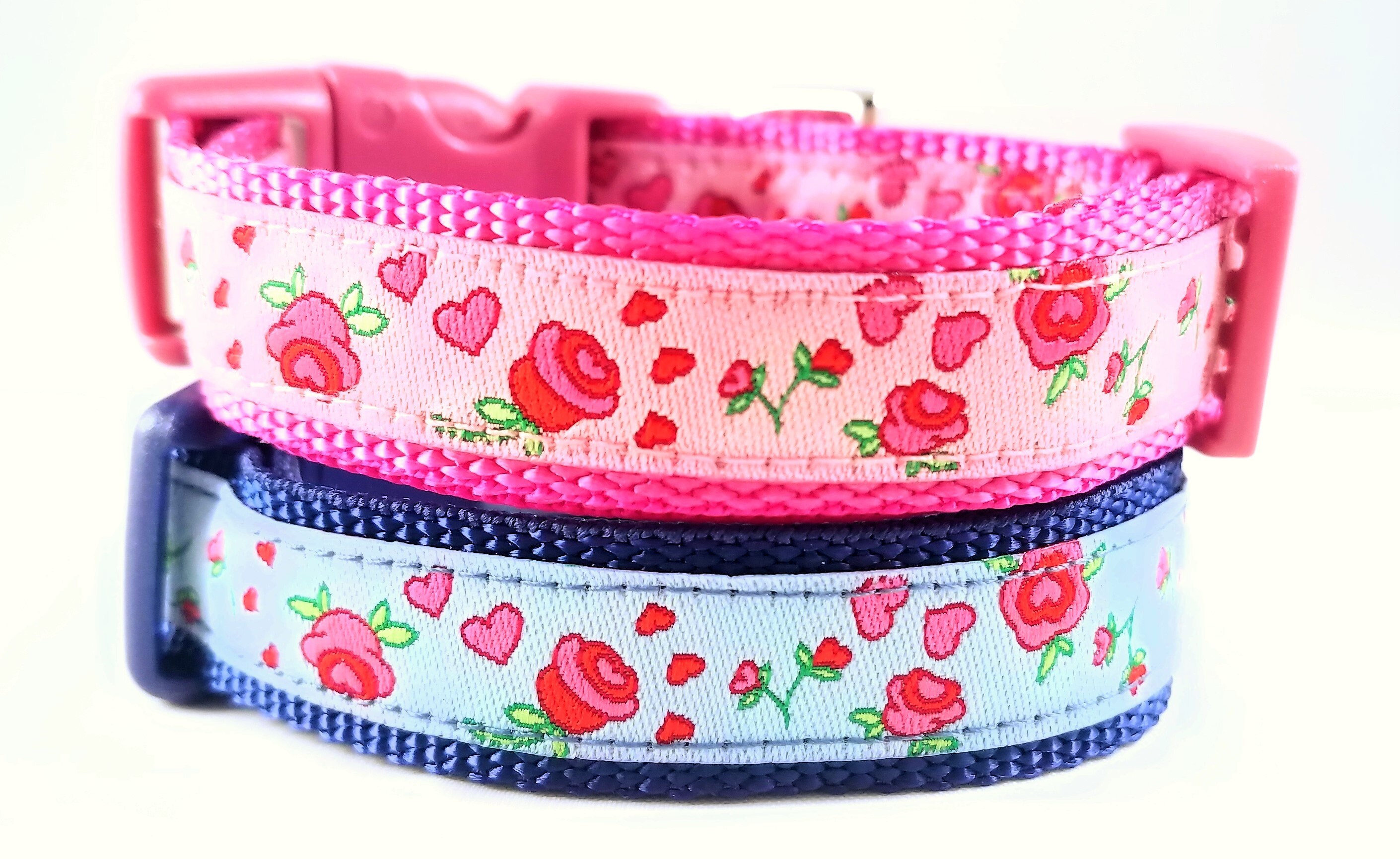 teacup dog collar