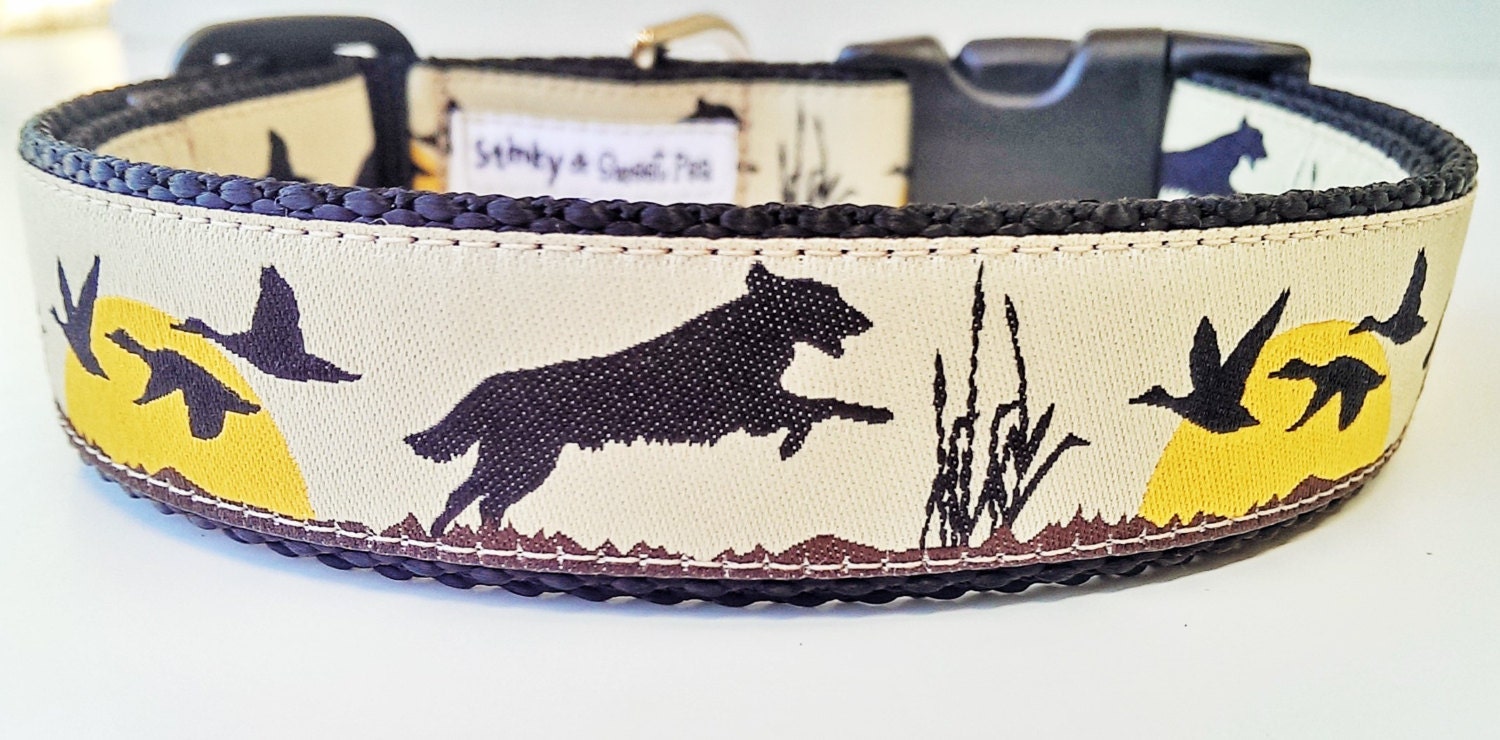 Bird Dog Dog Collar LIMITED EDITION / Retriever / Pet Etsy