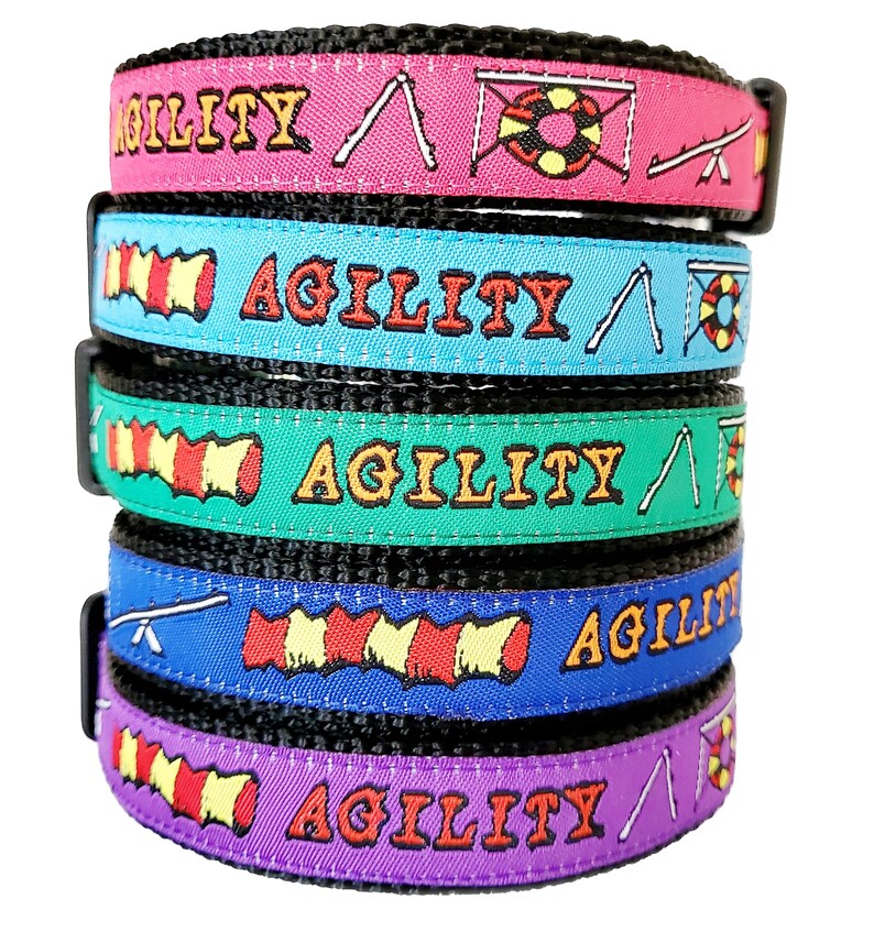 Agility Dog Collar / Handmade / Pet Accessories / Adjustable / Etsy
