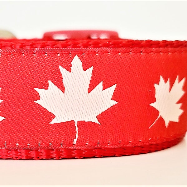 Canadian Canine Dog Collar / Adjustable / Canada / Maple Leaf / Large Dog Collar / Dog Collars / Canuck