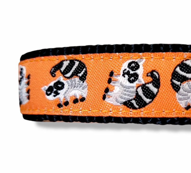 Little Trash Panda Dog Collar / Adjustable / Dog Collar / Trash Panda / Raccoon / Small Dog Collar / Woodland / Teacup / Puppy Collar image 1