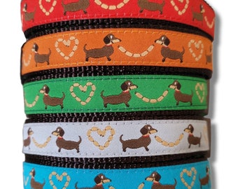 dachshund collars