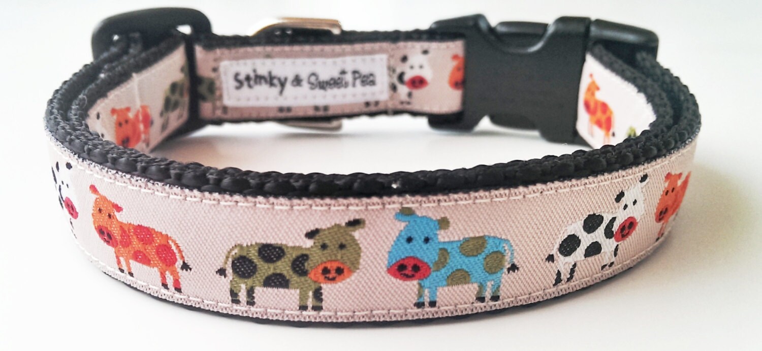 cow print dog collar