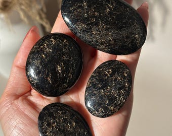 Rare Russian Tetraphlogopite Palm Stone | Root Chakra Mineral