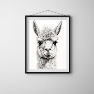 Charming Llama Portrait Digital Art | AI-Generated Minimalist Design | 3:4 Vertical Ratio | Black & White Print | Alpaca Poster | Funny Art