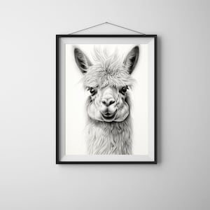 Llama Portrait: Minimalist Black and White AI Art Print (Digital Download)