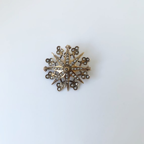 Victorian Seed Pearl Star Brooch | Gold Clover and